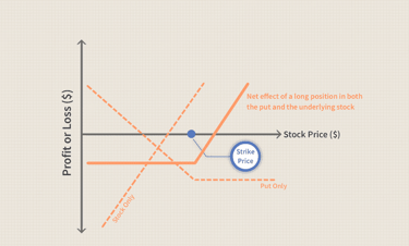 Married Put Risk Management Strategy